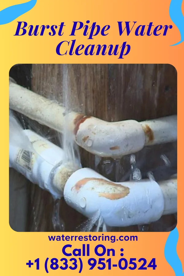 Burst Pipe Water Cleanup in Estill Springs, TN