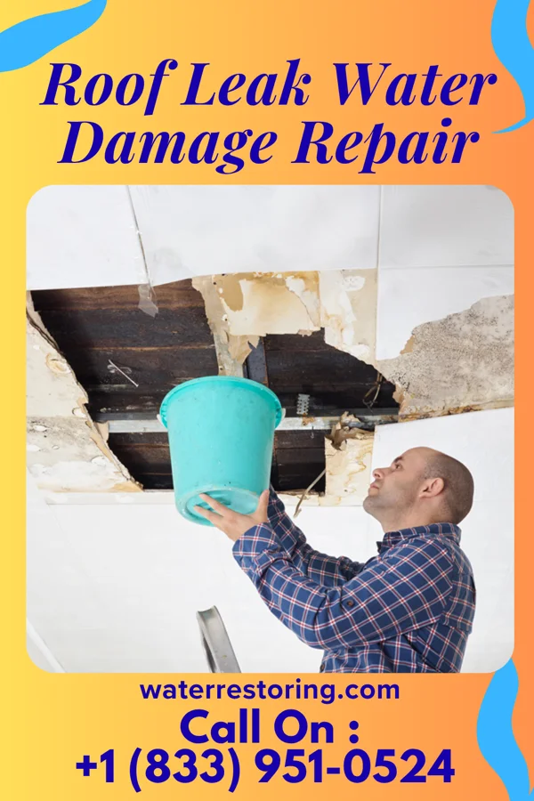 Roof Leak Water Damage Repair in Estill Springs, TN