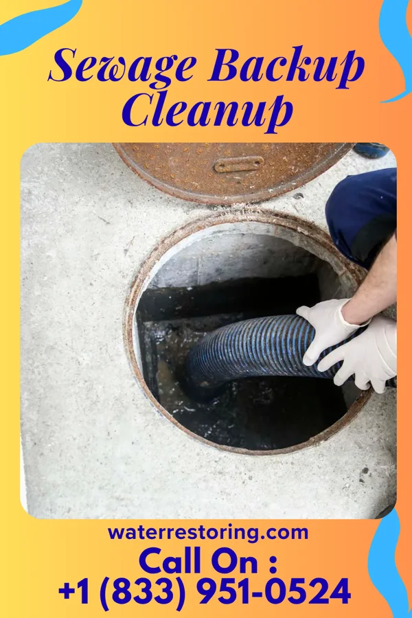 Sewage Backup Cleanup in Estill Springs, TN
